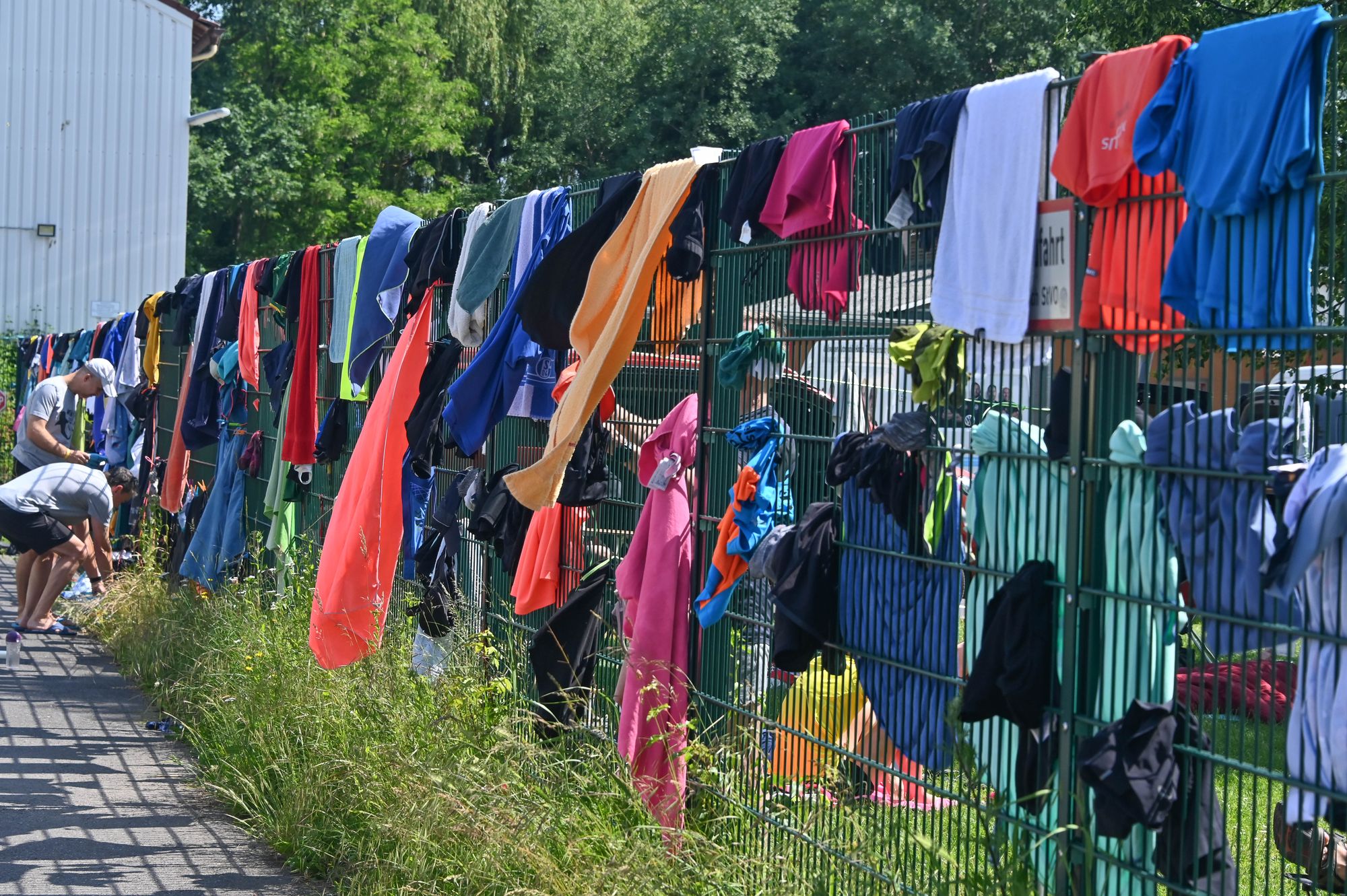 Veganes Klassentreffen beim Brüder-Grimm-Lauf (BGL) 2023