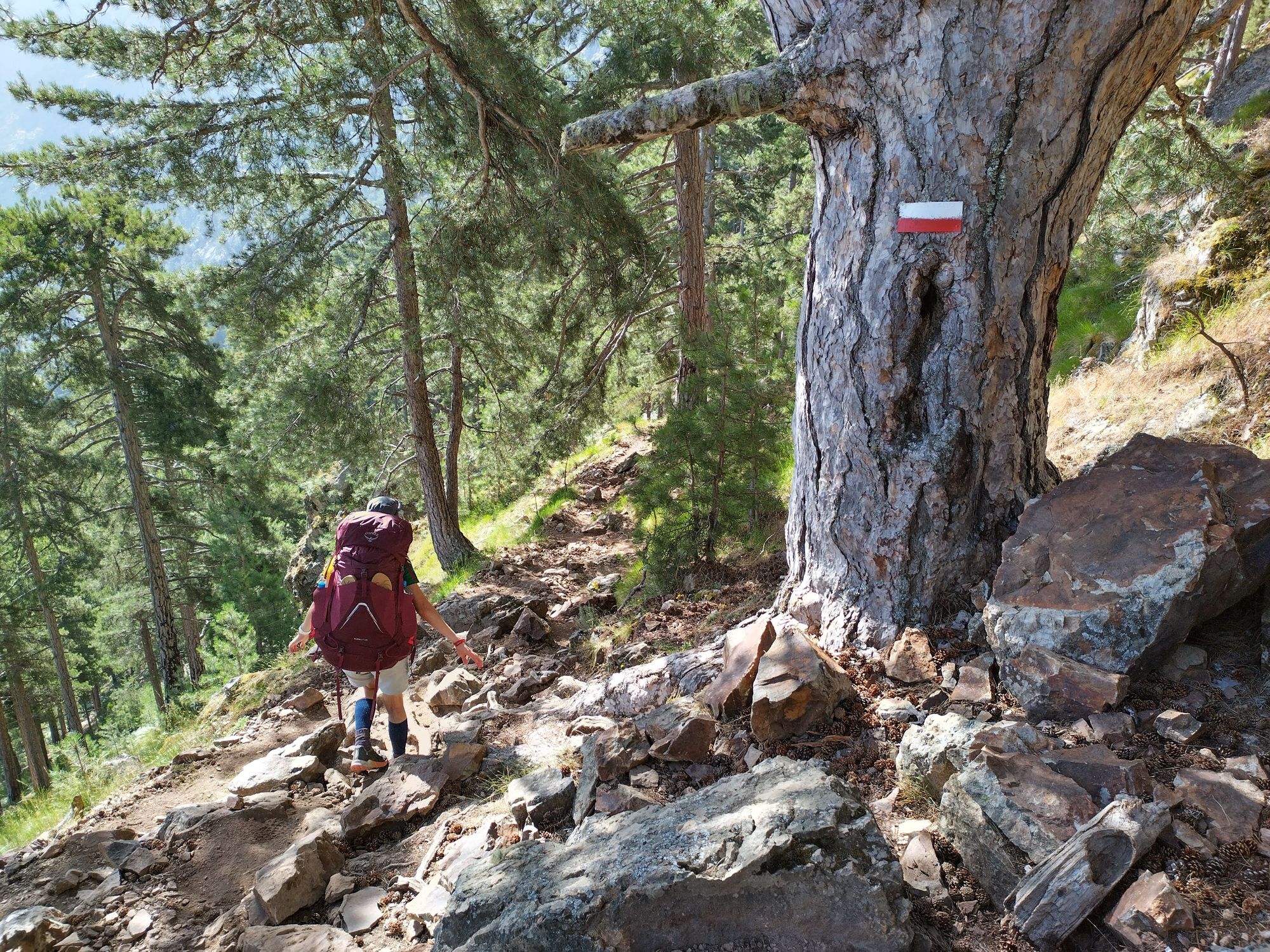 Der GR20 Nord - Quer durchs Gebirge Korsikas