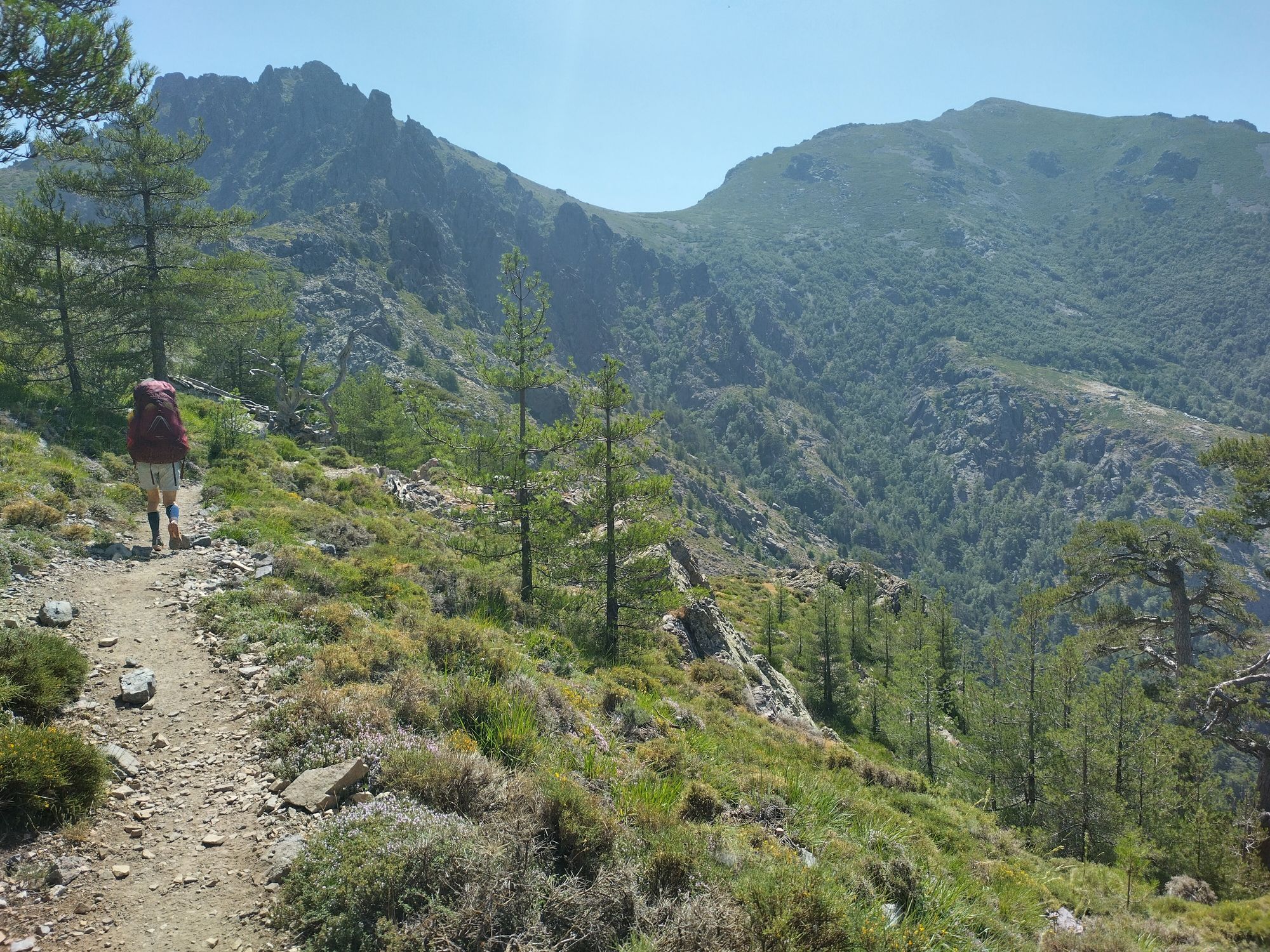 Der GR20 Nord - Quer durchs Gebirge Korsikas