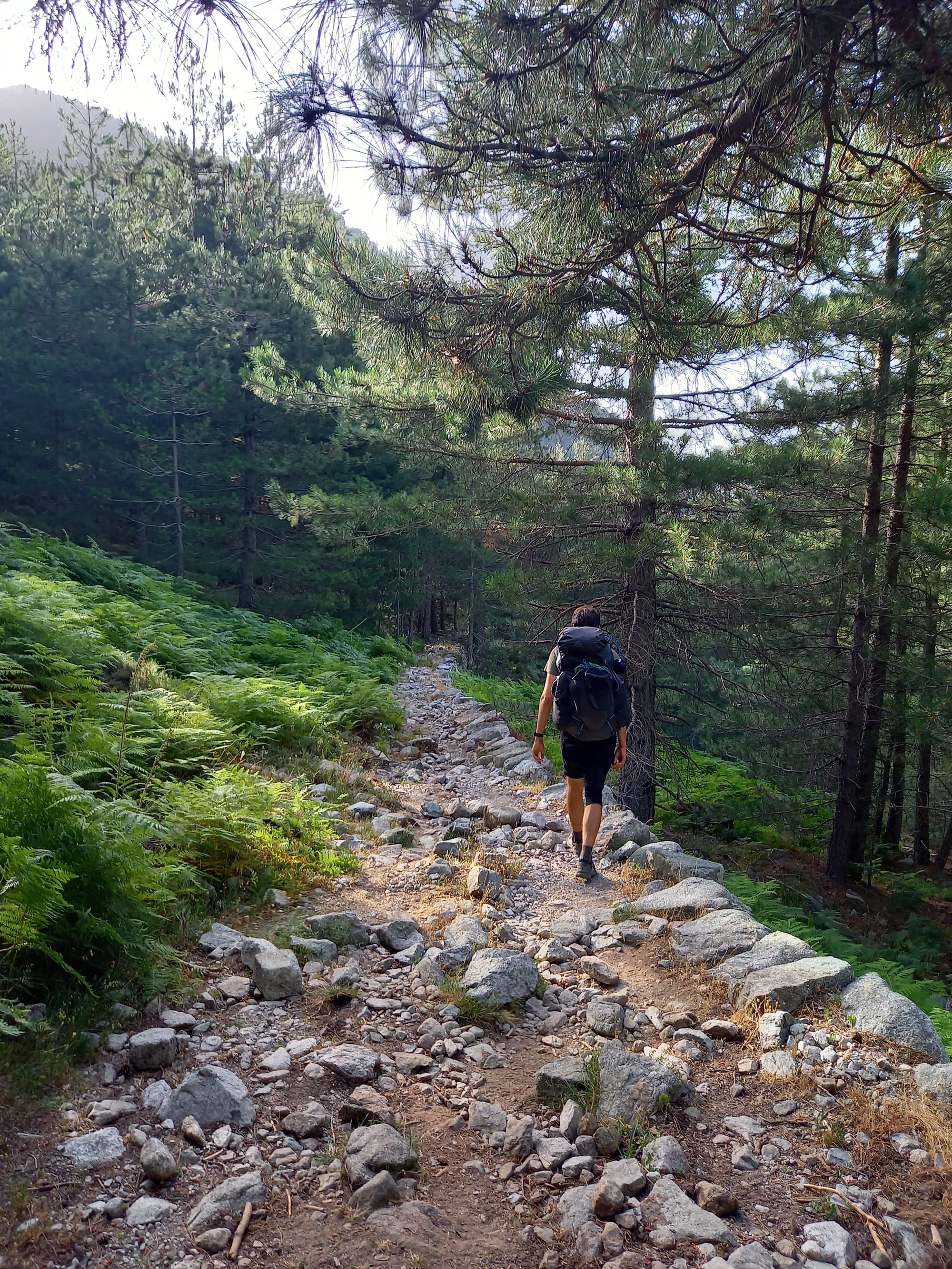 Der GR20 Nord - Quer durchs Gebirge Korsikas