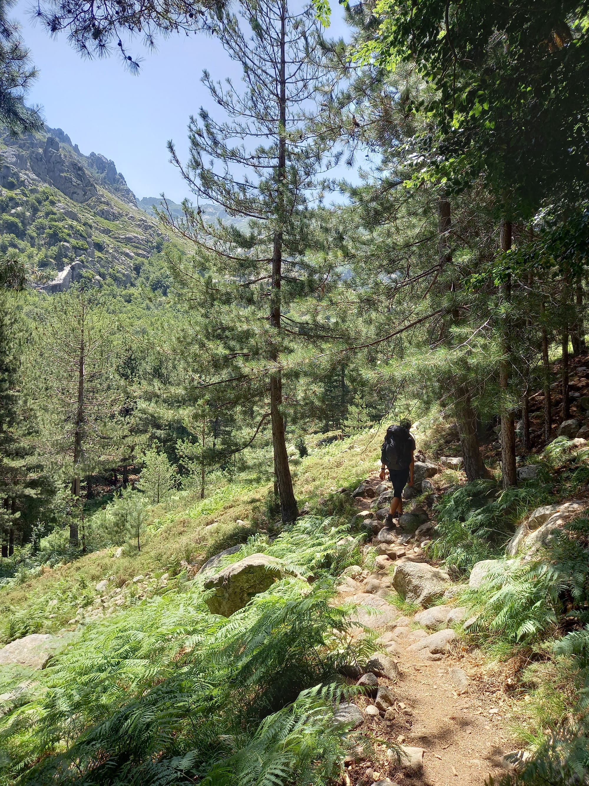 Der GR20 Nord - Quer durchs Gebirge Korsikas