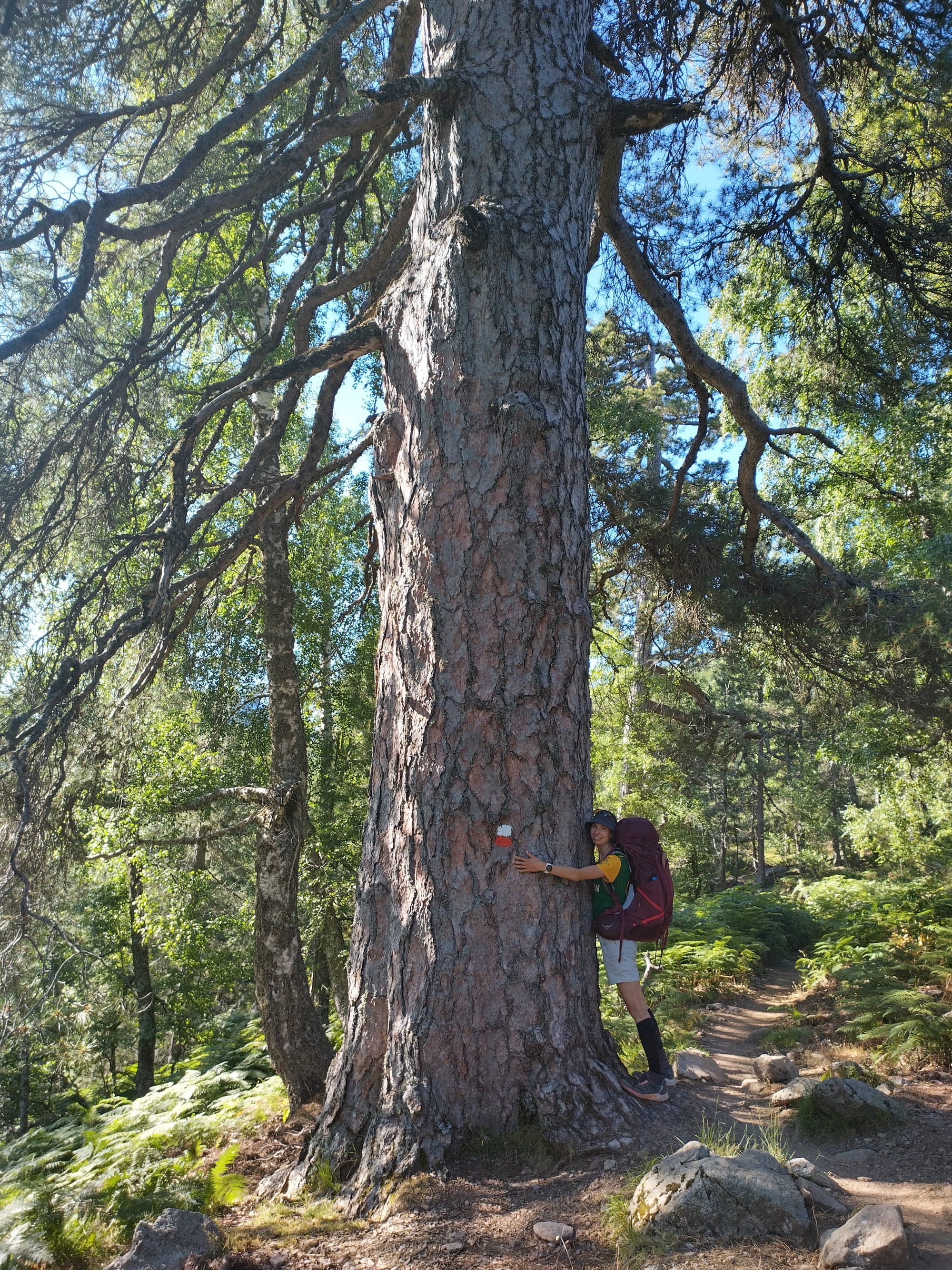 Der GR20 Nord - Quer durchs Gebirge Korsikas