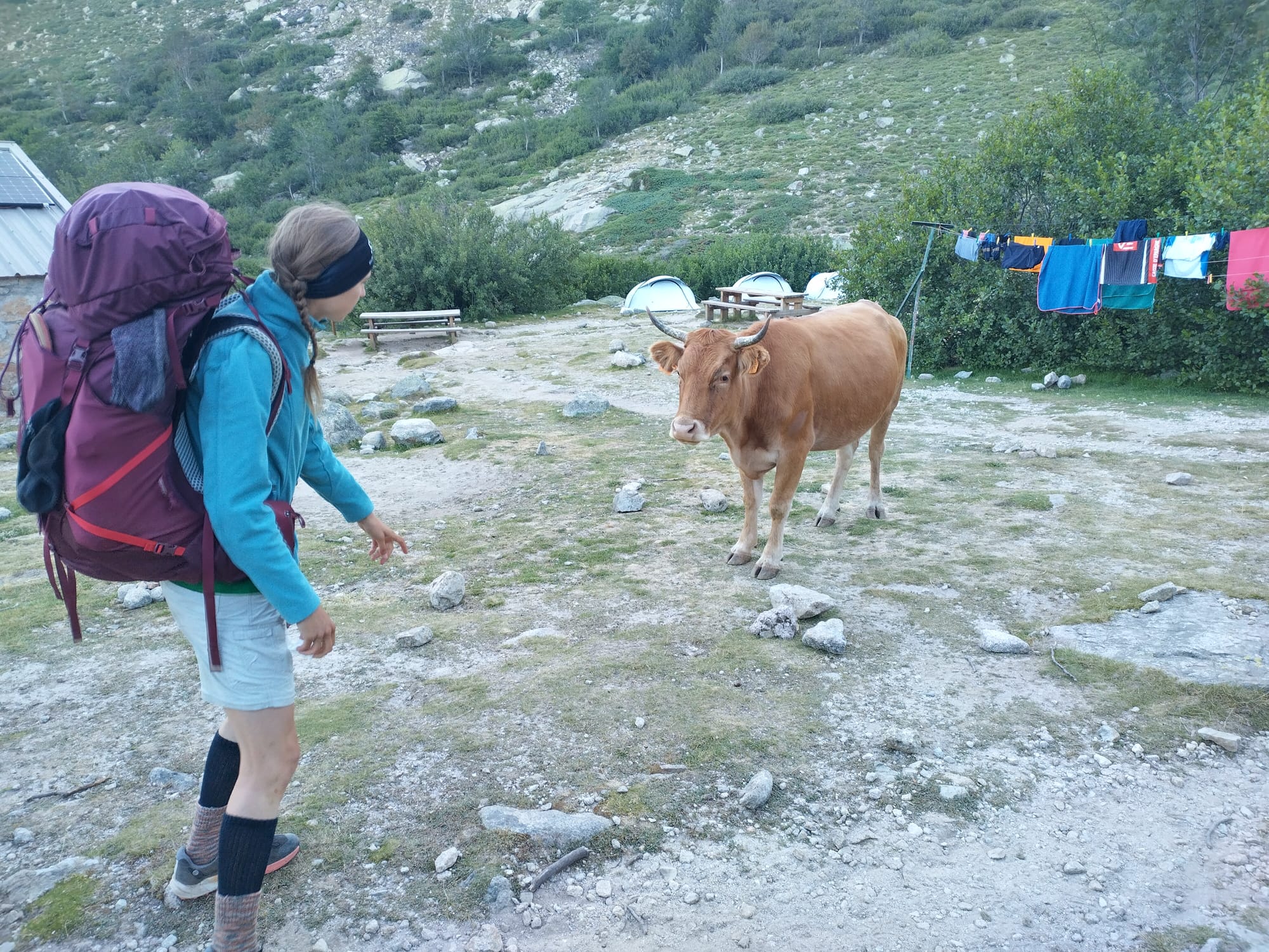 Der GR20 Nord - Quer durchs Gebirge Korsikas