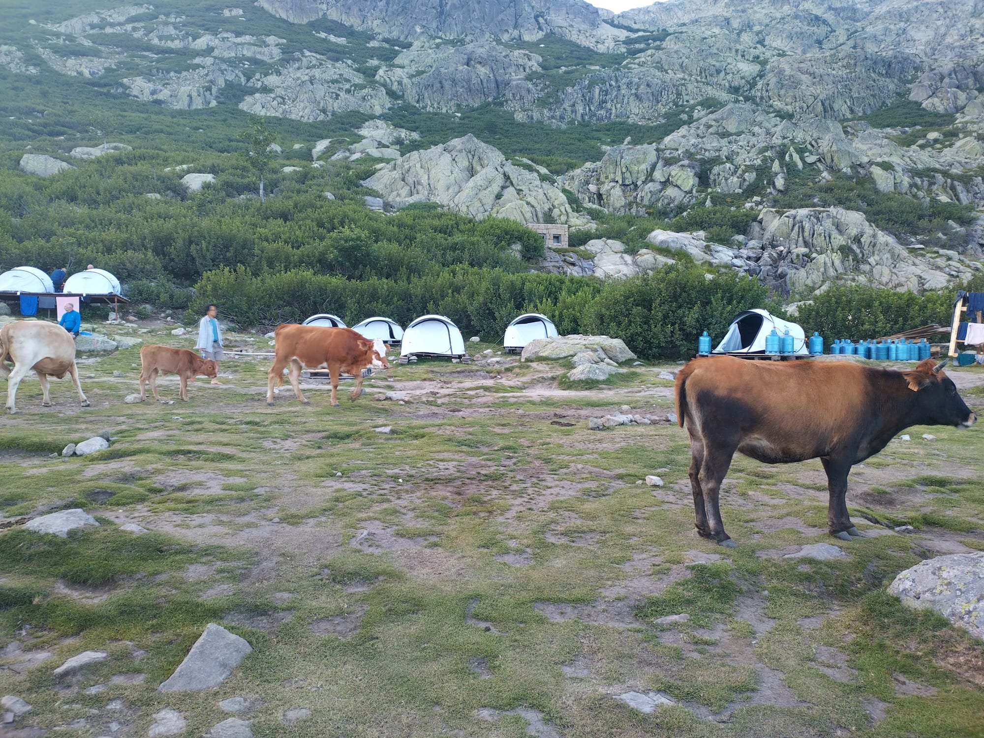 Der GR20 Nord - Quer durchs Gebirge Korsikas