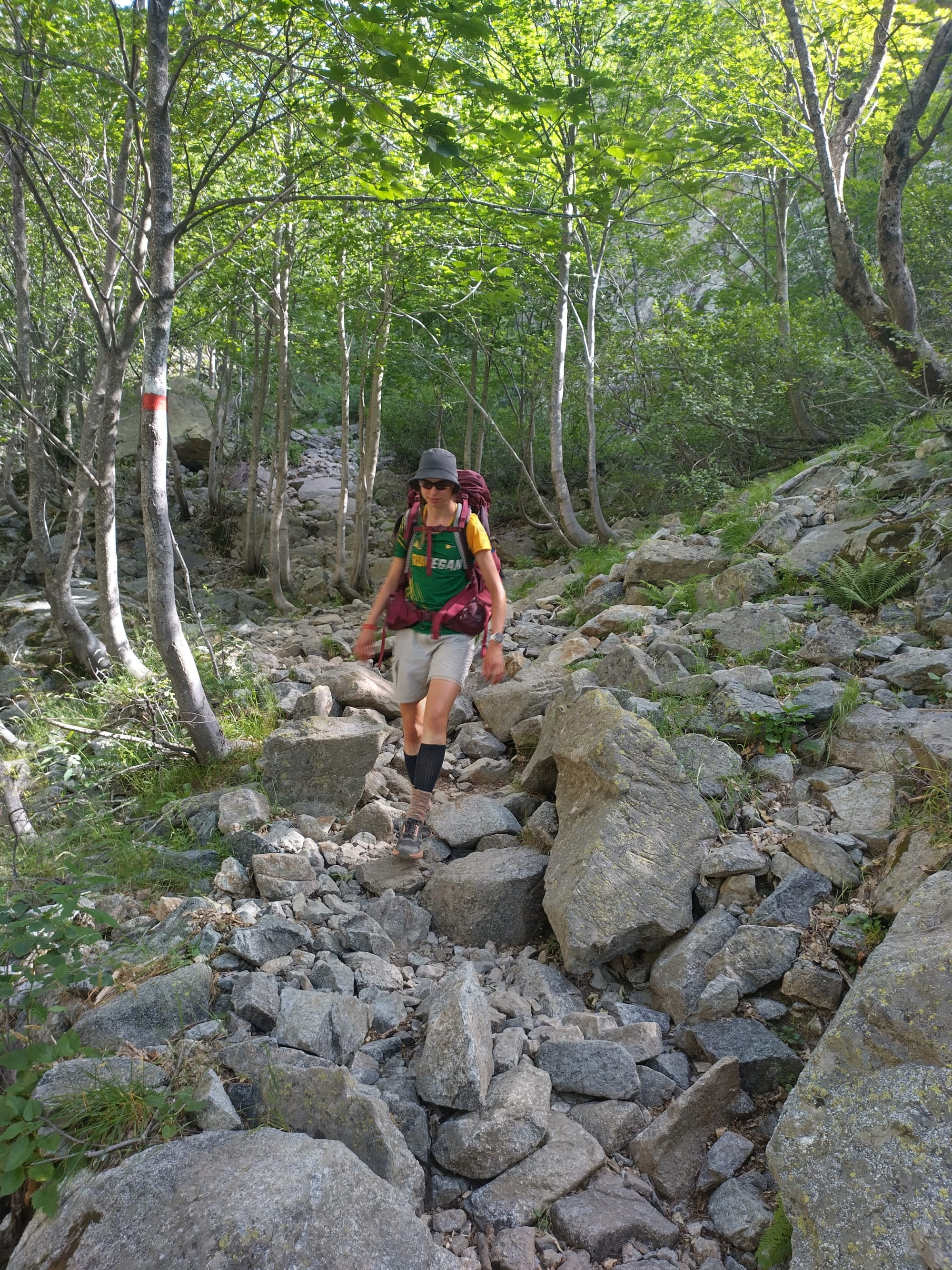 Der GR20 Nord - Quer durchs Gebirge Korsikas