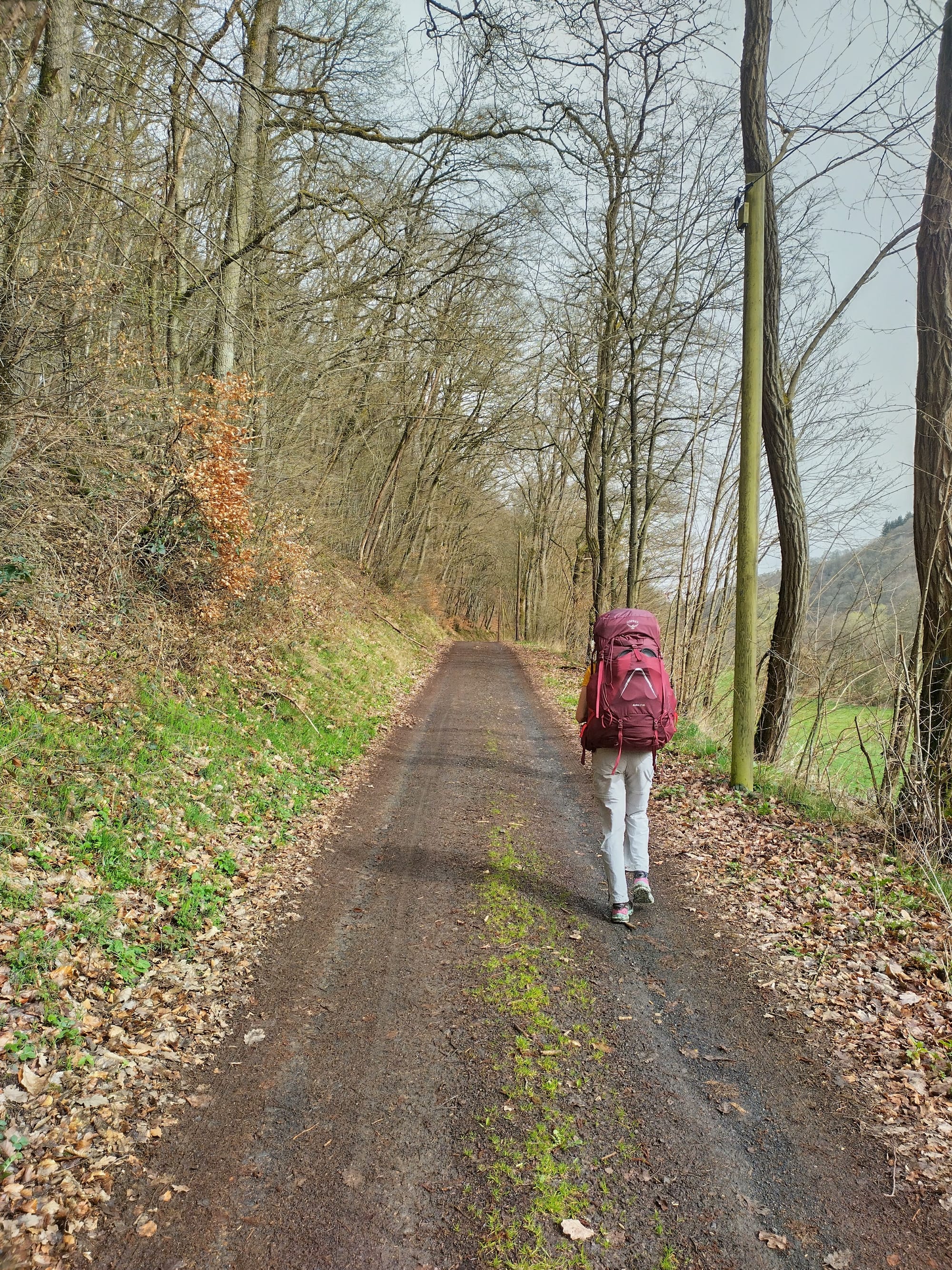 Trekking von Bahnhof zu Bahnhof in der Ahr-Eifel