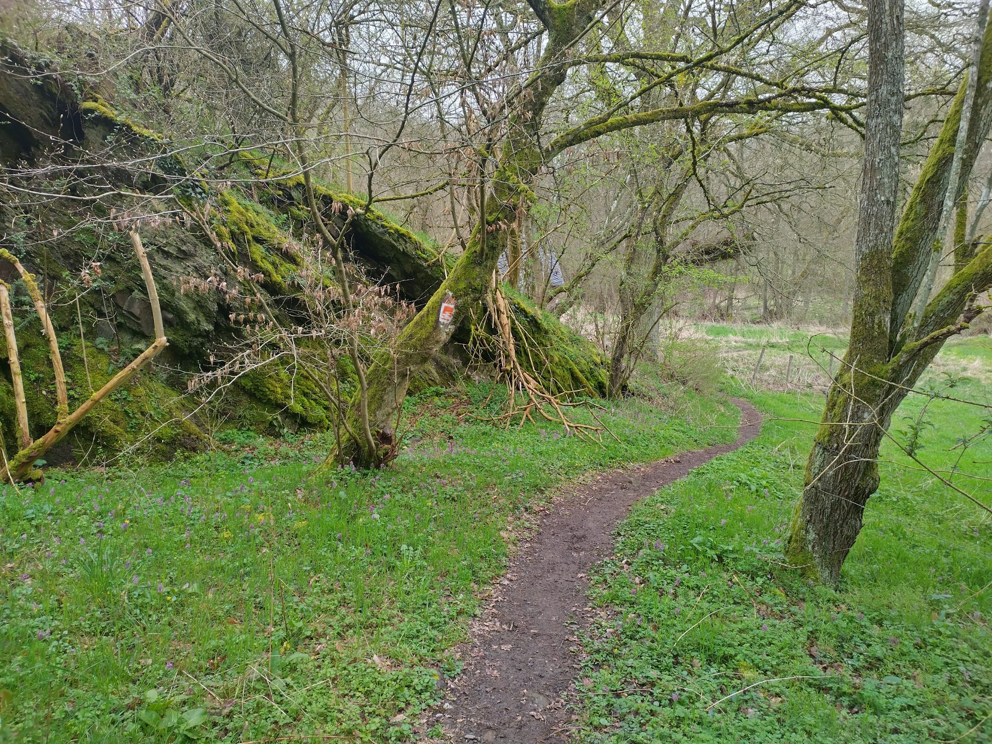 Trekking von Bahnhof zu Bahnhof in der Ahr-Eifel