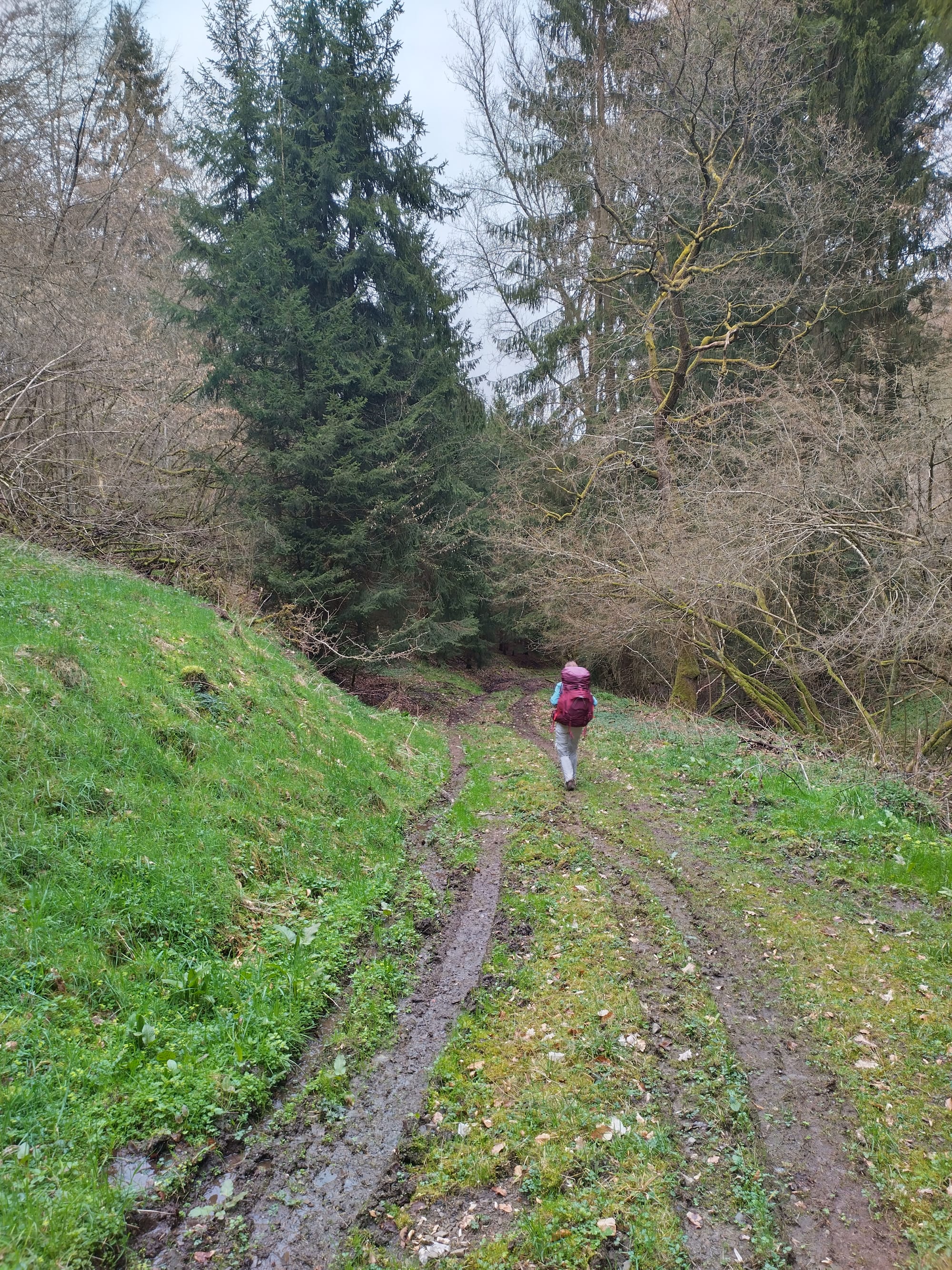 Trekking von Bahnhof zu Bahnhof in der Ahr-Eifel