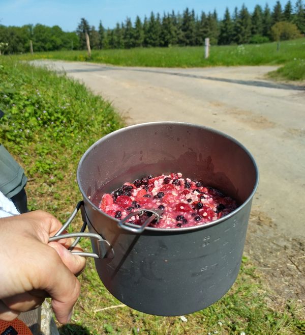 Trekkingmahlzeit: Beeren Porridge